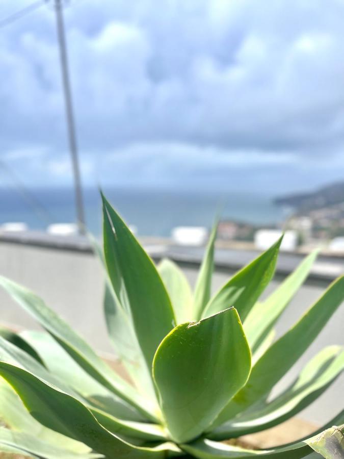 Villa Cassolino Ribeira Brava Zewnętrze zdjęcie